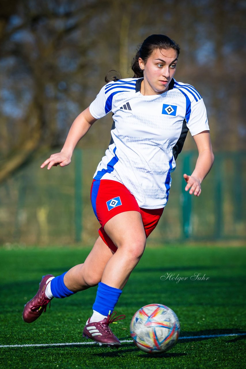Bild 54 - F Hamburger SV 3 - Blau-Weiss 96 : Ergebnis: 5:1